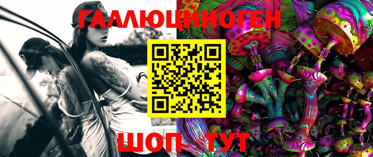 Галлюциногенные грибы Psilocybe Новочебоксарск