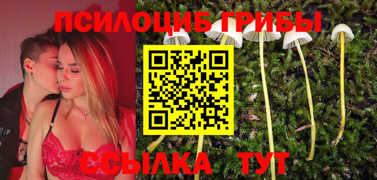 Псилоцибиновые грибы GOLDEN TEACHER  купить закладку  Новочебоксарск  Вход с VPN 